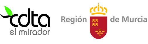 Logotipos de financiadores (CDTA-CARM)