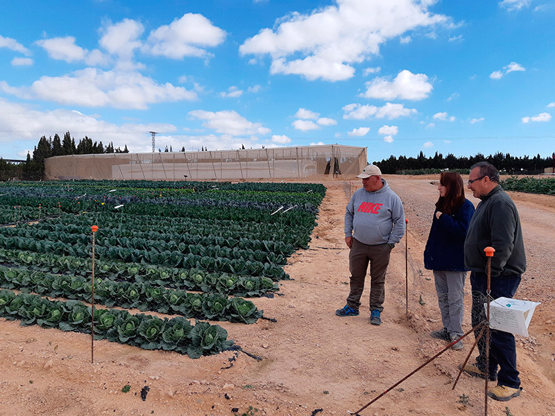 Visita de técnicos (13/2/19)