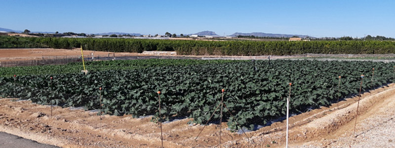 Se reúne la 3 ª Comisión de Coordinacion y Seguimiento del Centro de Demostración Agraria El Mirador