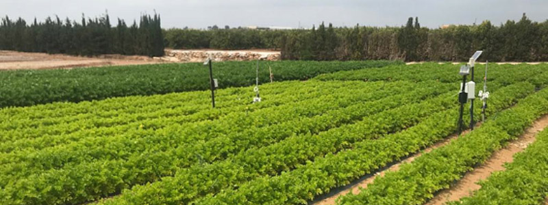 Se reúne la 5 ª Comisión de Coordinacion y Seguimiento del Centro de Demostración Agraria El Mirador