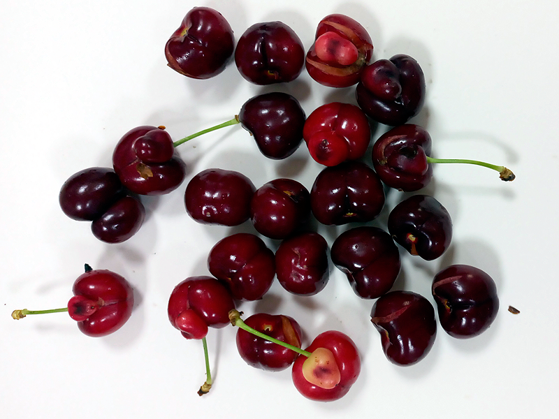 Frutos dobles S. Saretta