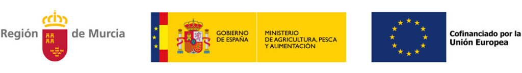 Financiación PEPAC