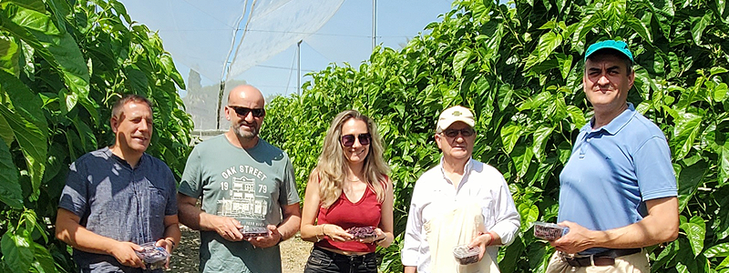 El CDA del Llano de Molina presenta sus avances en el cultivo de la morera a una delegación institucional y empresarial de Albacete