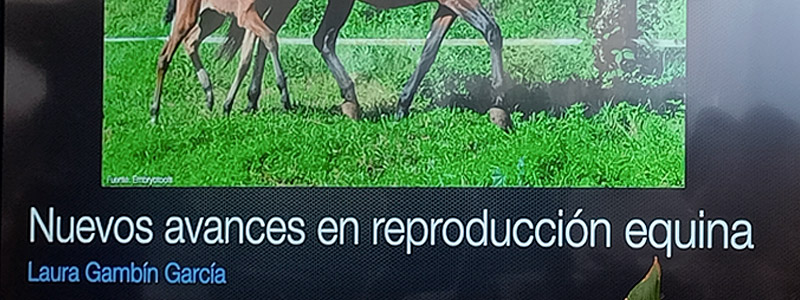 FERICAB 2026