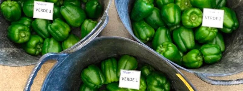 Pimientos verdes